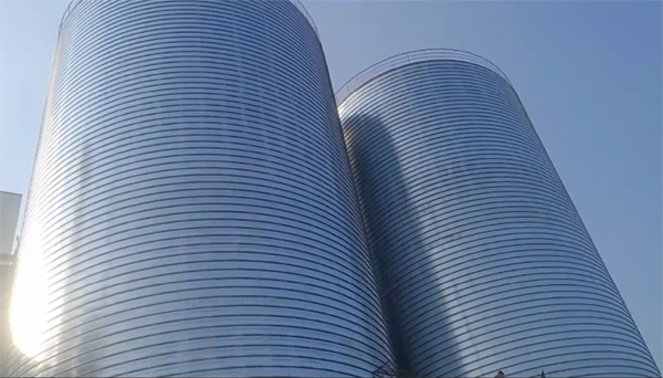 溧水2座混凝土高架卷板仓